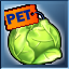 Cheap Vegetable Food