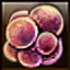 Mold